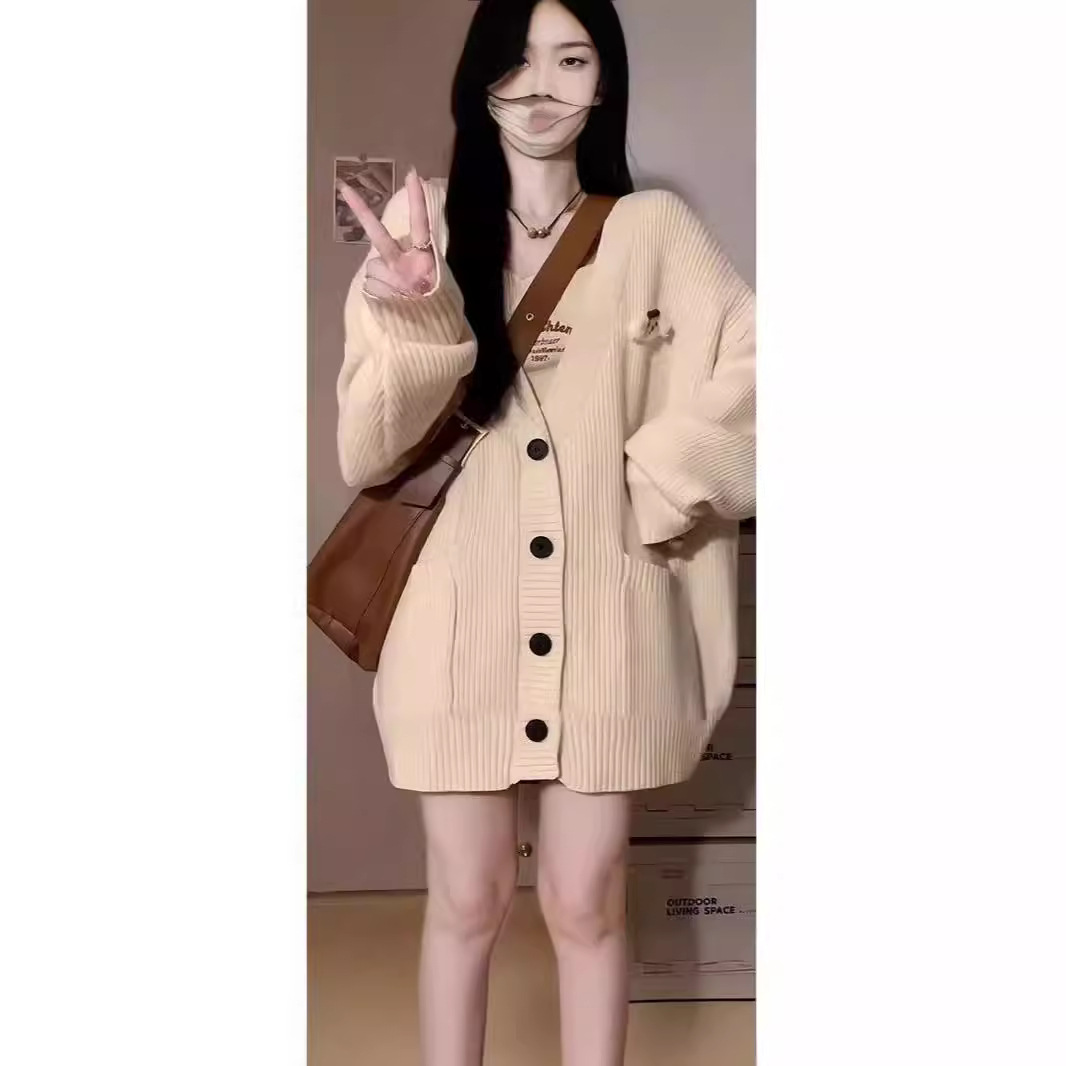 Sweater Women 2024 Fashion Aut - Sewing V 评论和价格